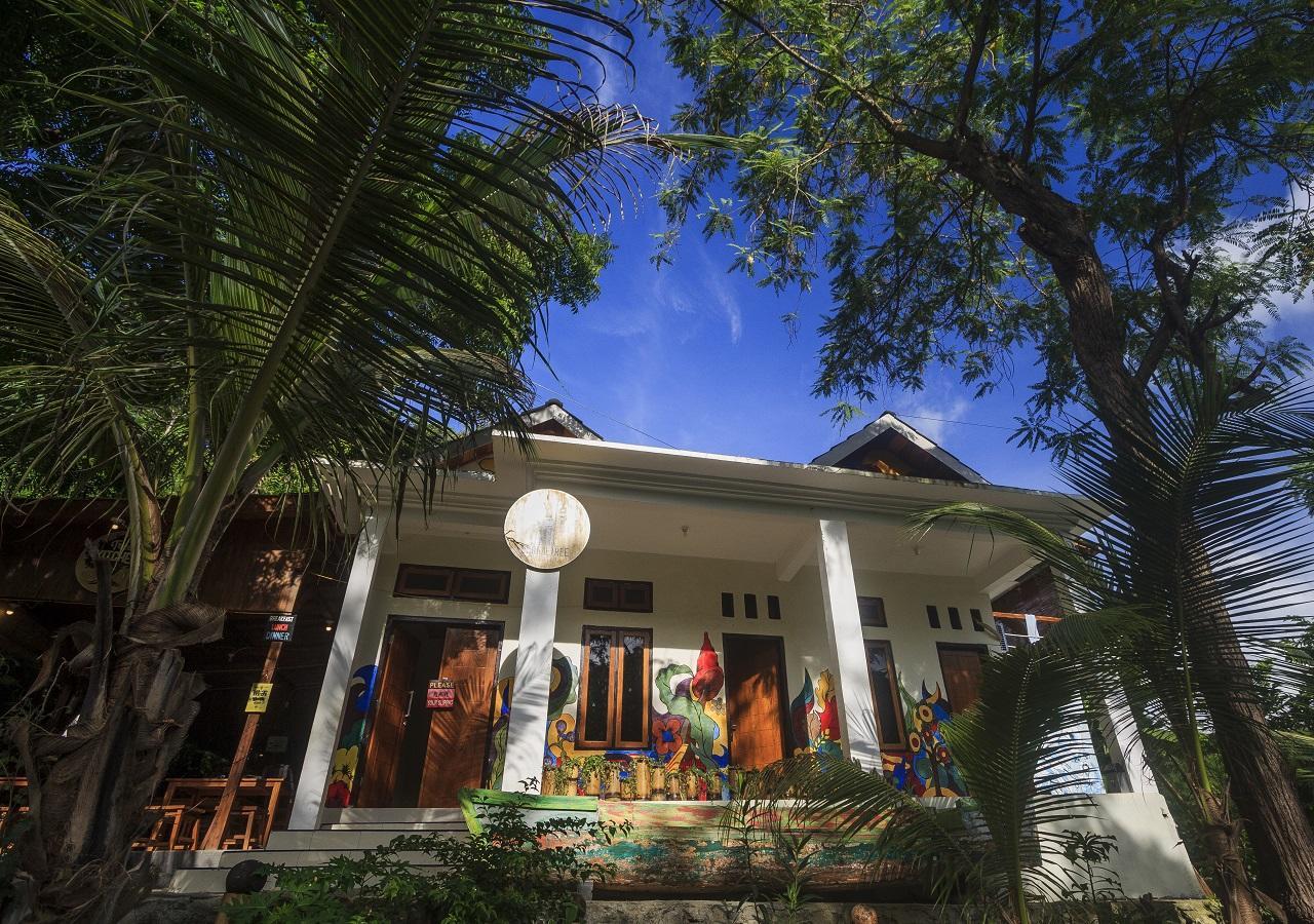 Dorme Tree Hostel Labuan Bajo Ngoại thất bức ảnh